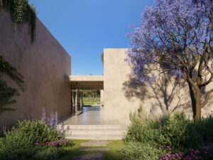 La Macoma_01