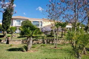 MR208-Inca-8969