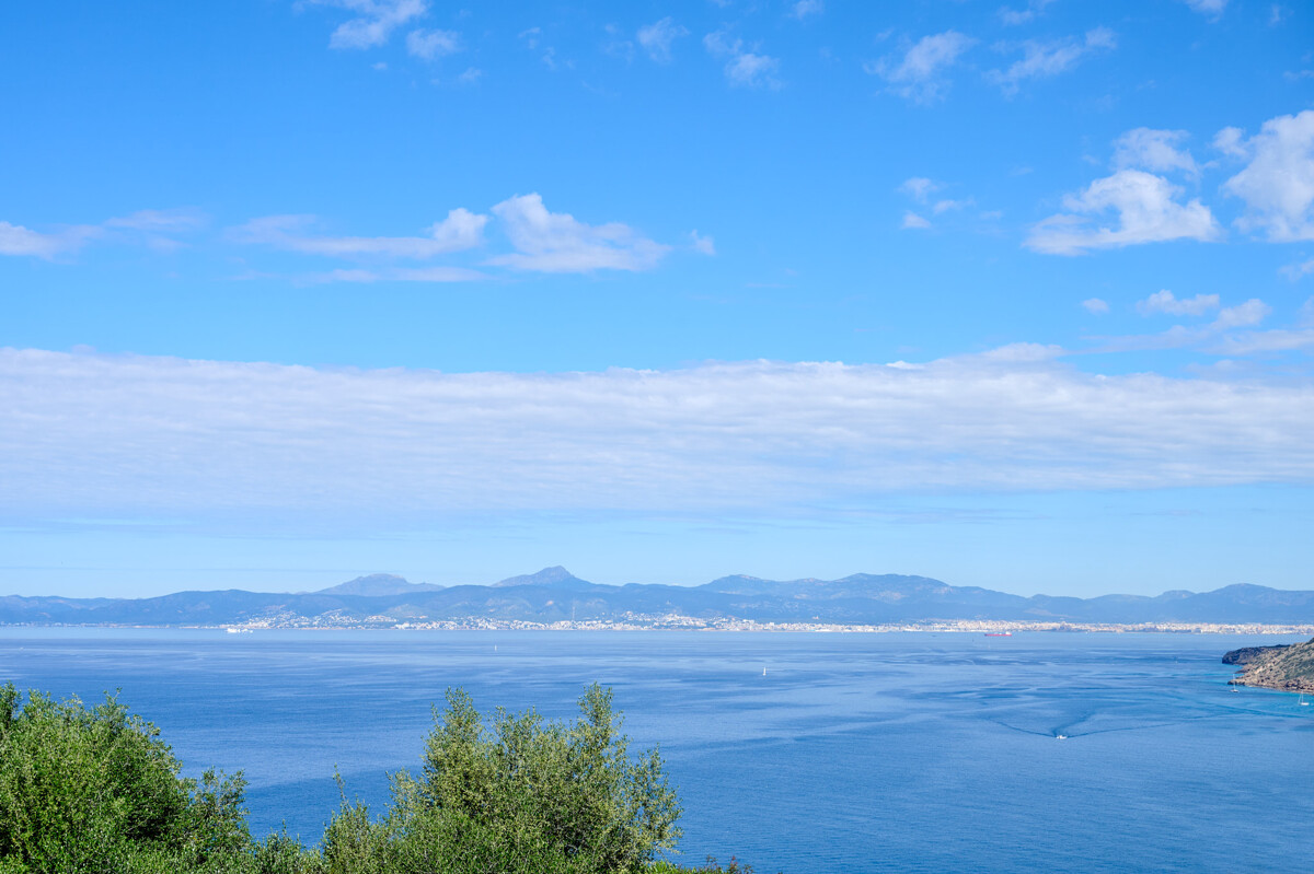 orio_2604_029_2048px