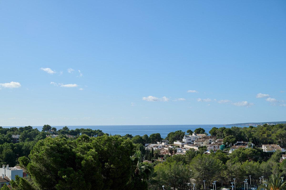 ginesta-2510_047_2048px
