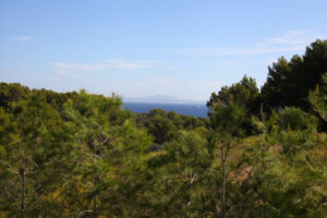 IMG_8270008008