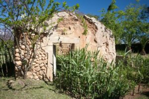 MR208-Inca-8991