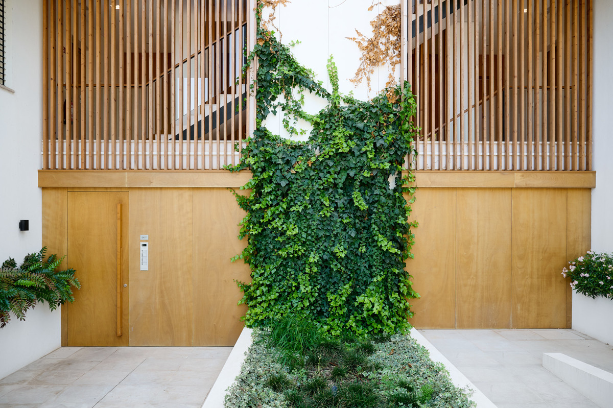green-elements-301_2409_005_2048px