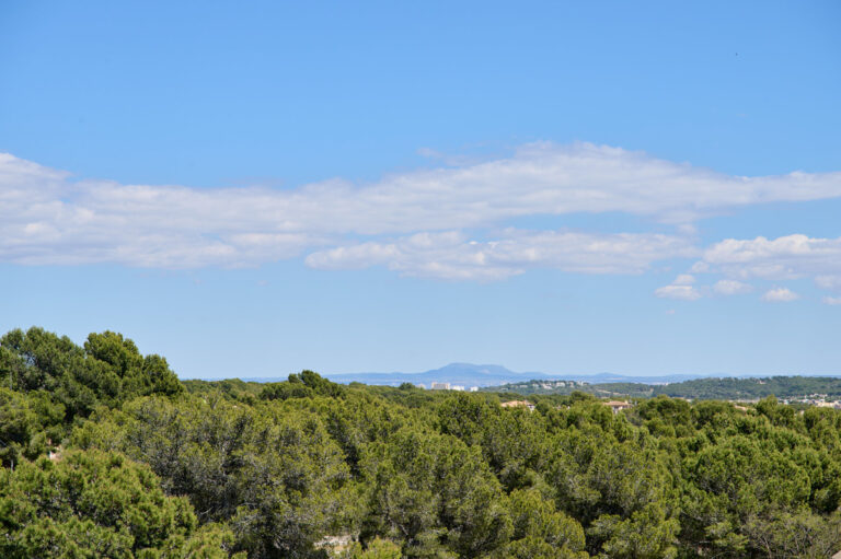 green-elements_2405_031_2048px