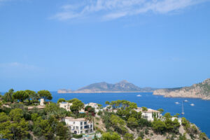 ullastre_2408_032_2048px