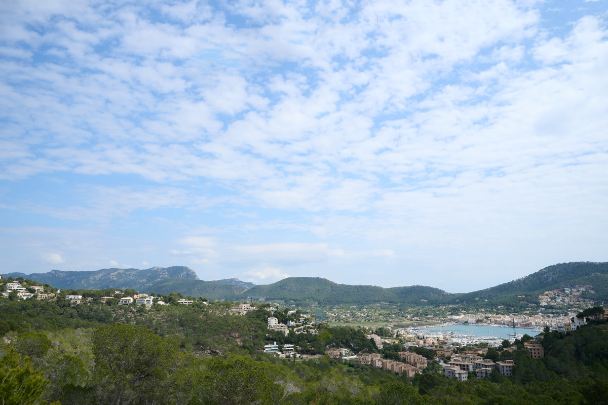 metllera_2503_017_2048px