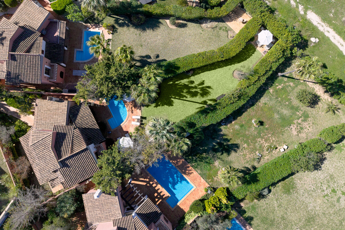 abubilla-44_2603_003_2048px