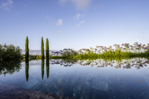 CM_06.22_501_0980