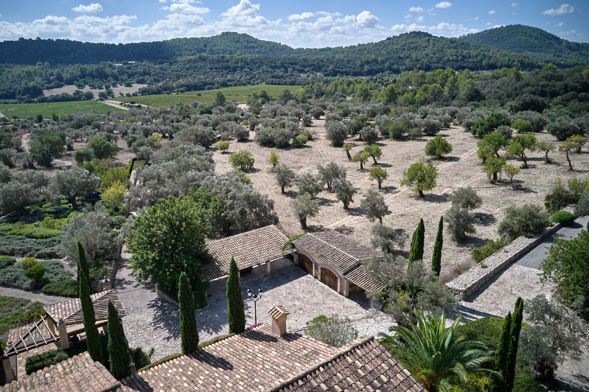 Pollensa_2308_016_2048px
