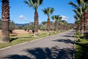 MR208-Inca-9003