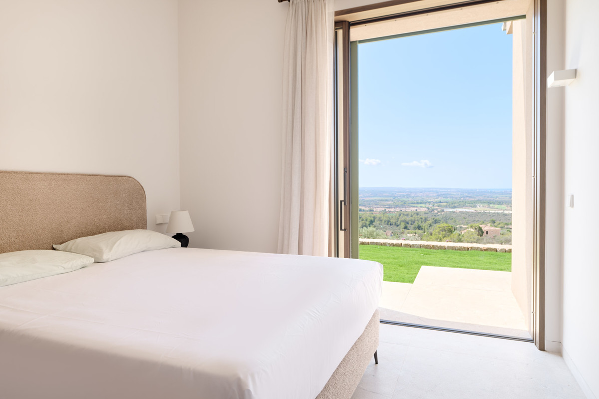puntiro_2408_045_2048px