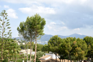 montpellier_230525_028_2048px