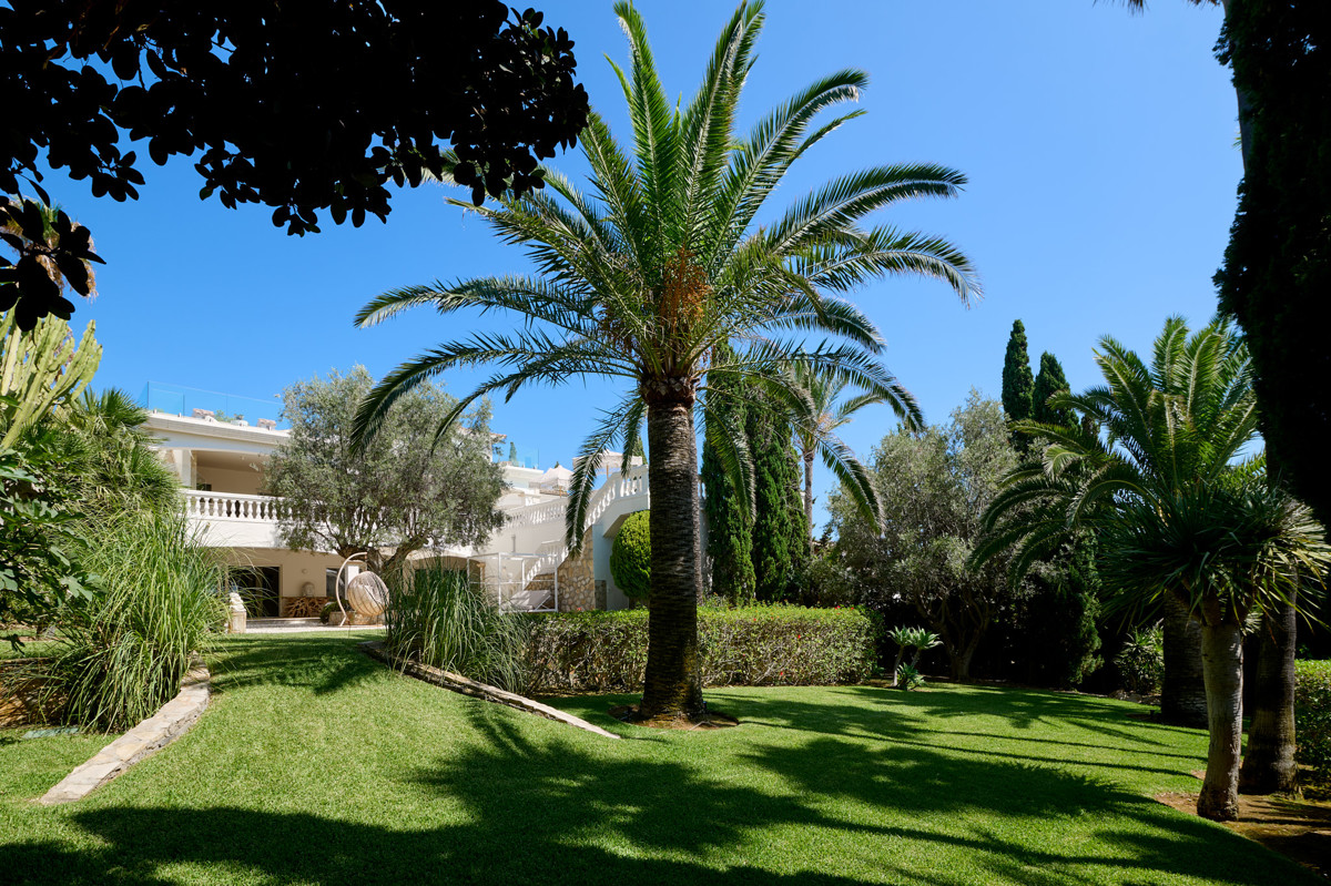cabrera_2408_040_2048px