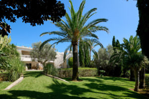 cabrera_2408_040_2048px